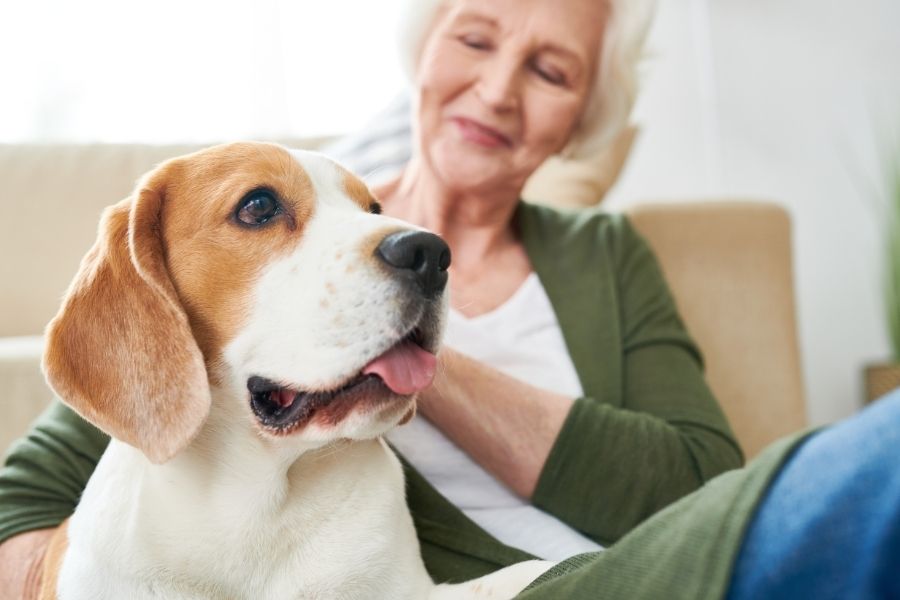 Seniorin mit Hund