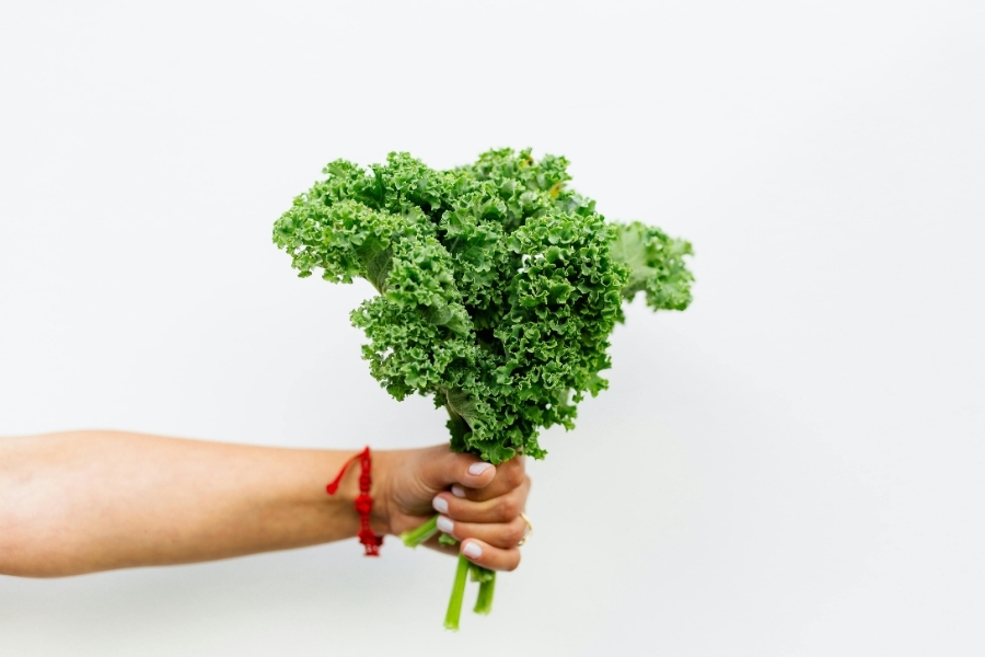 Grünkohl in der Hand