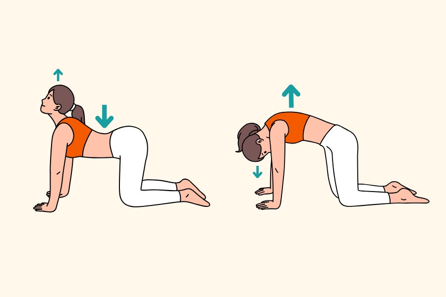 Übung 1: Katzenbuckel